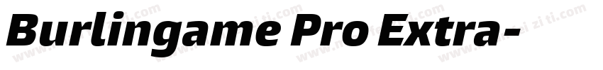 Burlingame Pro Extra字体转换